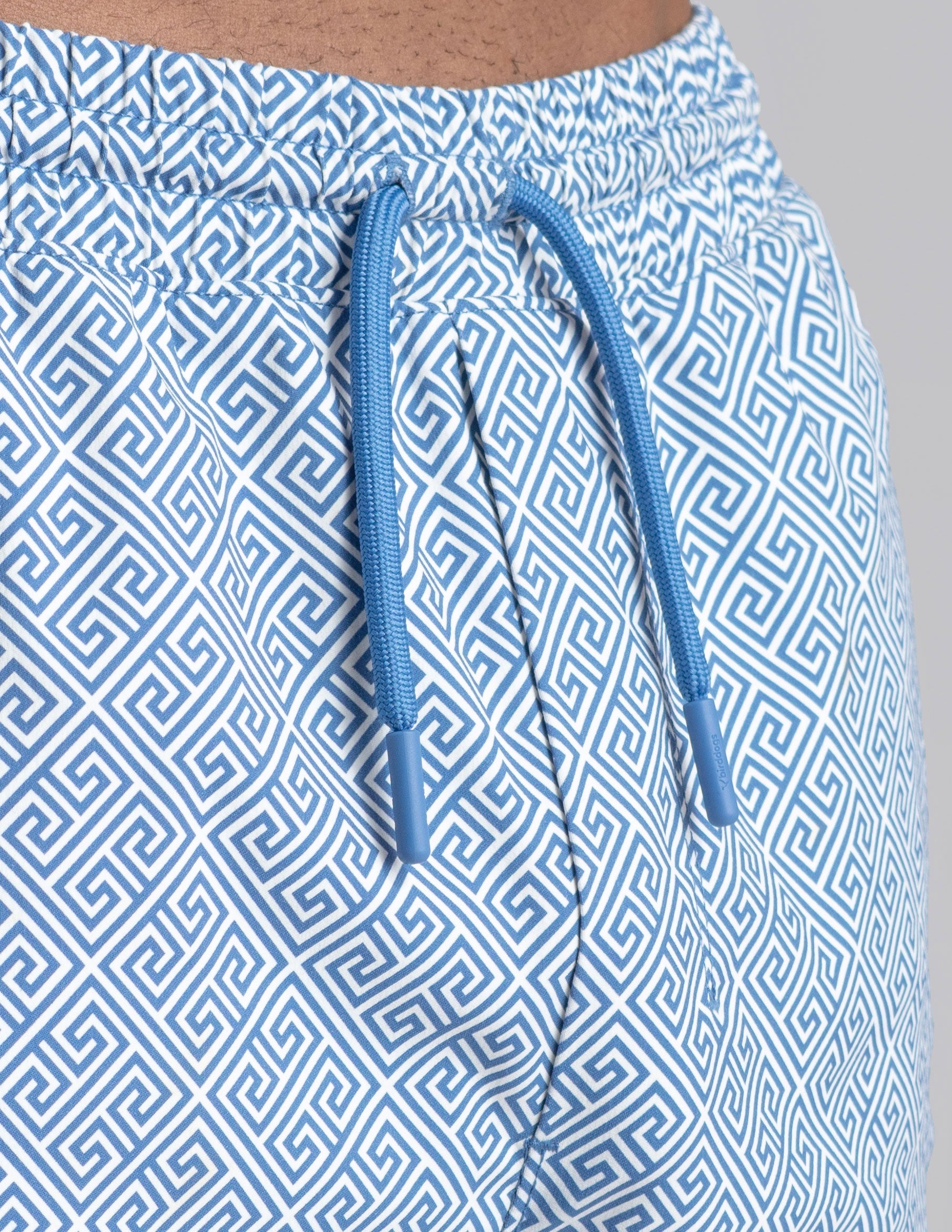Swim Shorts - Delphi Blue (The Aegean Ease)